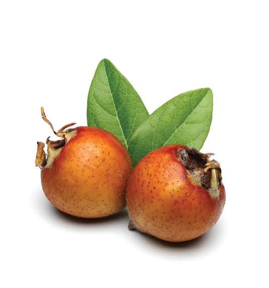 Muşmula